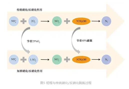城镇污水处理厂节能减碳实现路径与技术探讨-