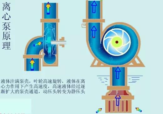 看图秒懂 17种泵的工作原理及性能特点展示图-