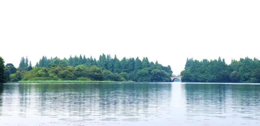 疫情下多重优势浮现，来看看地下式污水处理厂的实力吧！