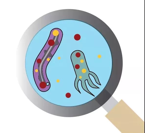污水厂内的生物气溶胶怎么产生，污水从业人员如何做好防护？-