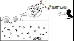 住建部：如何应对新冠病毒从马桶到水环境的潜在传输途径？-