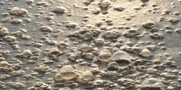 污水厂内的生物气溶胶怎么产生，污水从业人员如何做好防护？-